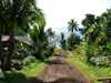 Fiji
