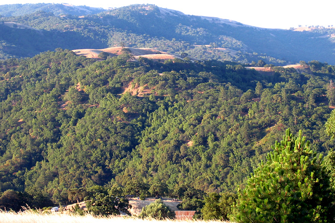 hike
