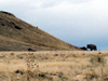 Antilope Island