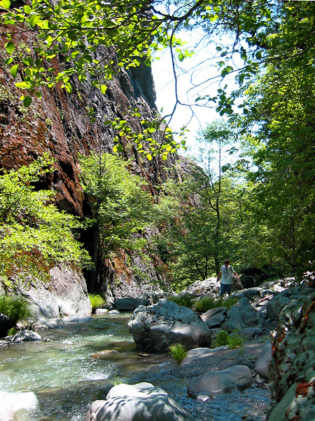 Hiking