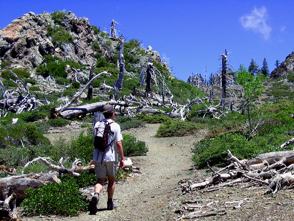 Hiking