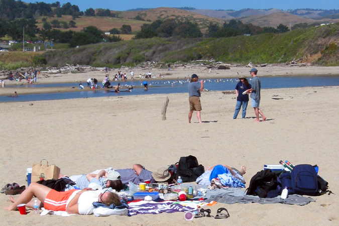 picnic